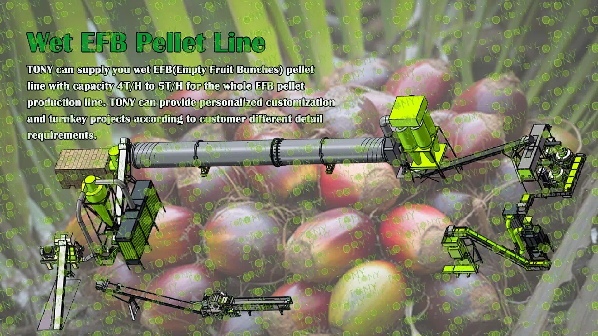 EFB-pelletproduktionslinje