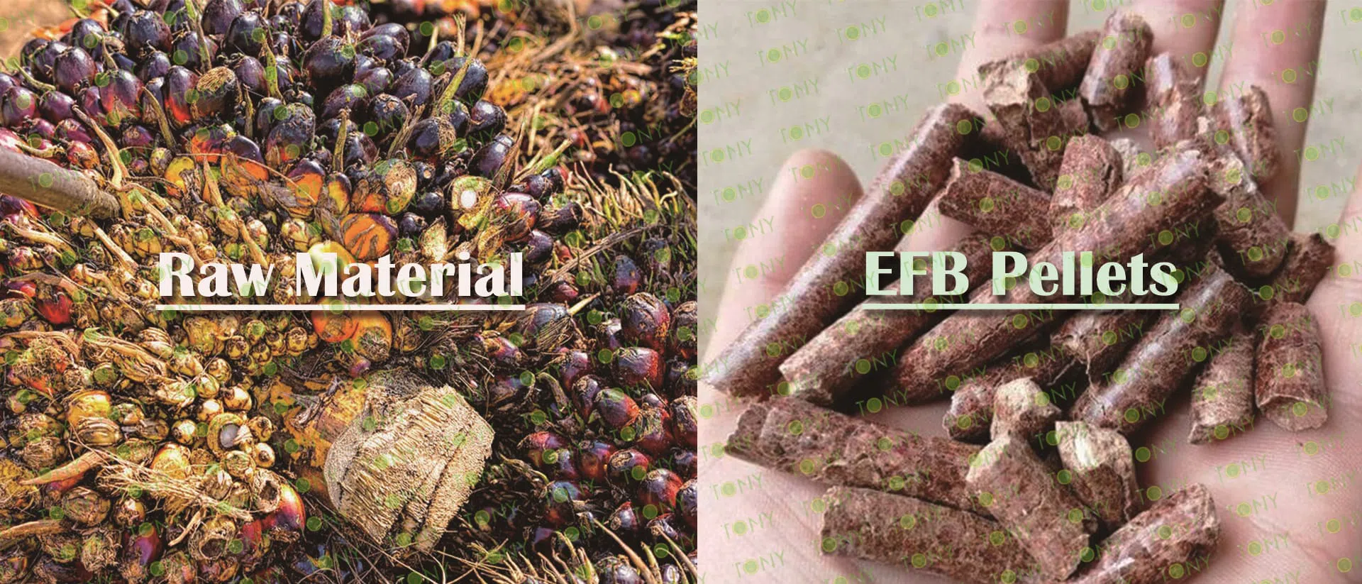 EFB-pelletproduktionslinje