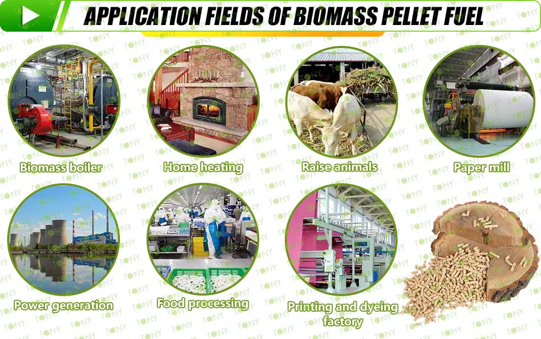 Riisikõrre biomassi graanulipress
