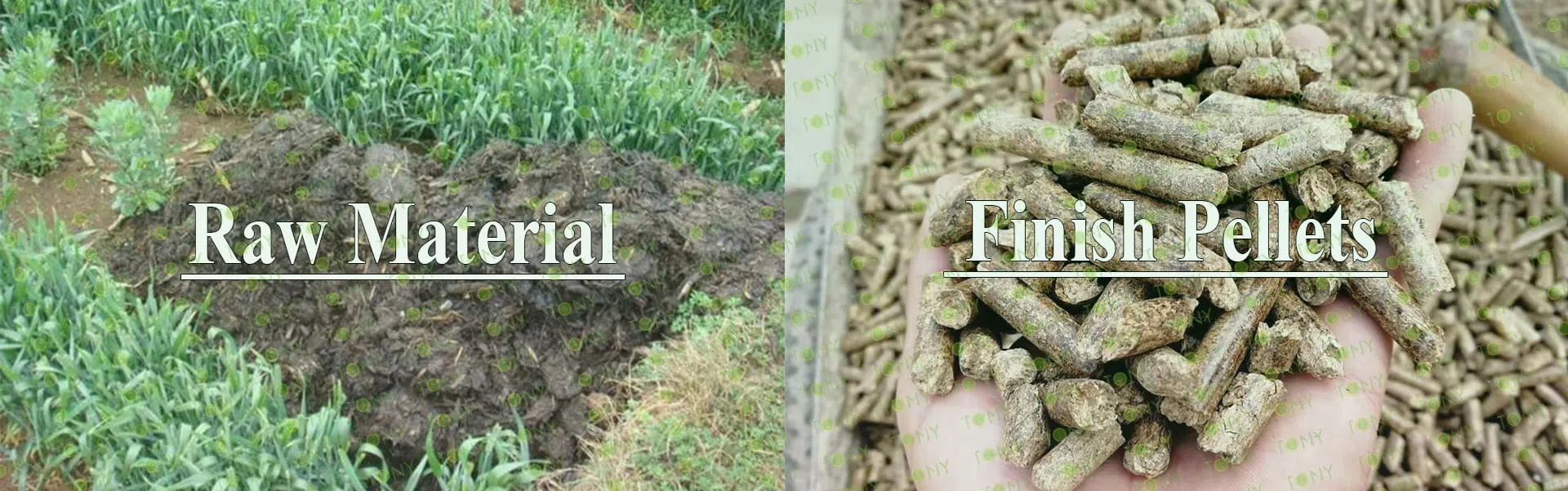 Produktionslinje til kokassepiller