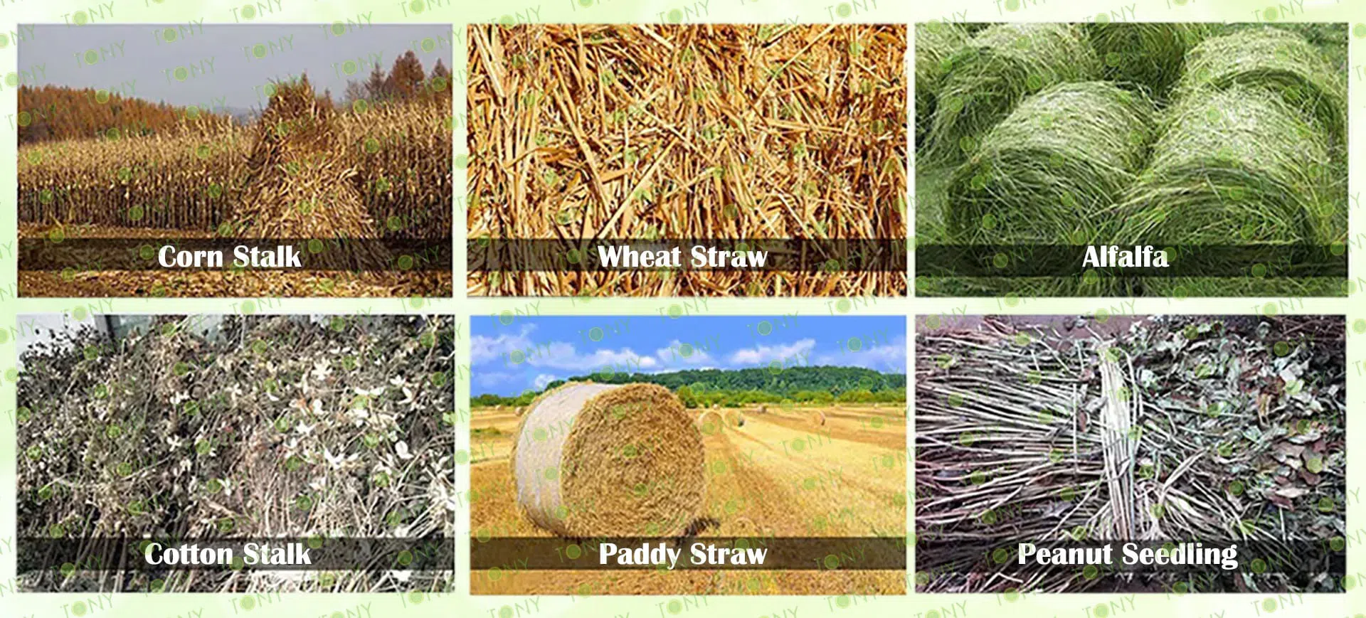 Straw Cutter