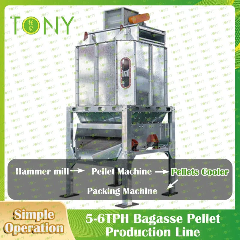 Bagasse Pellet Produktionslinje