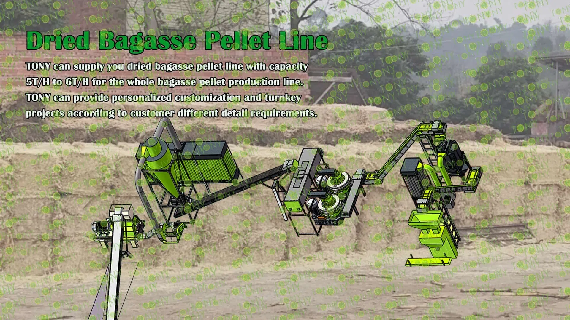 Bagasse Pellet Produktionslinje