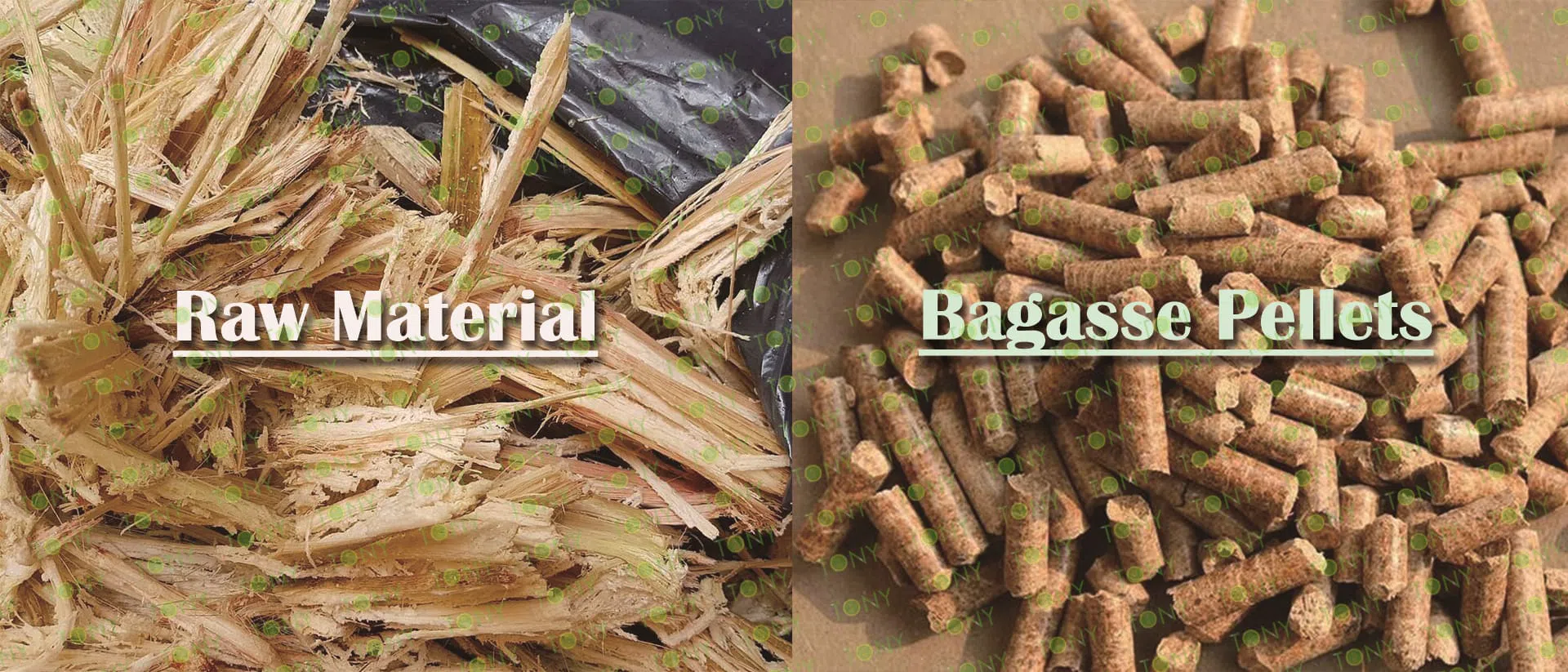 Bagasse Pellet Produktionslinje