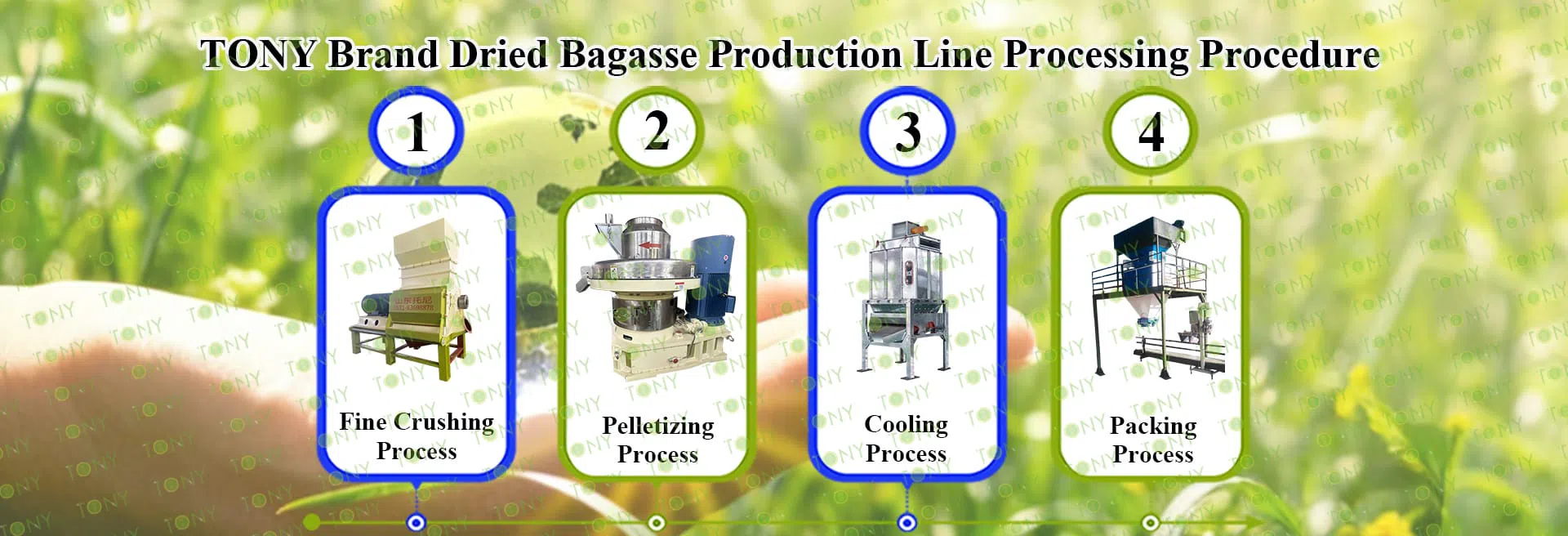 Bagasse Pellet Produktionslinje