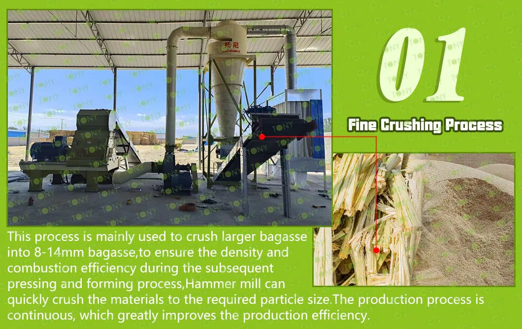 TONY 5-6TPH bagasse-pelletproduktionslinje