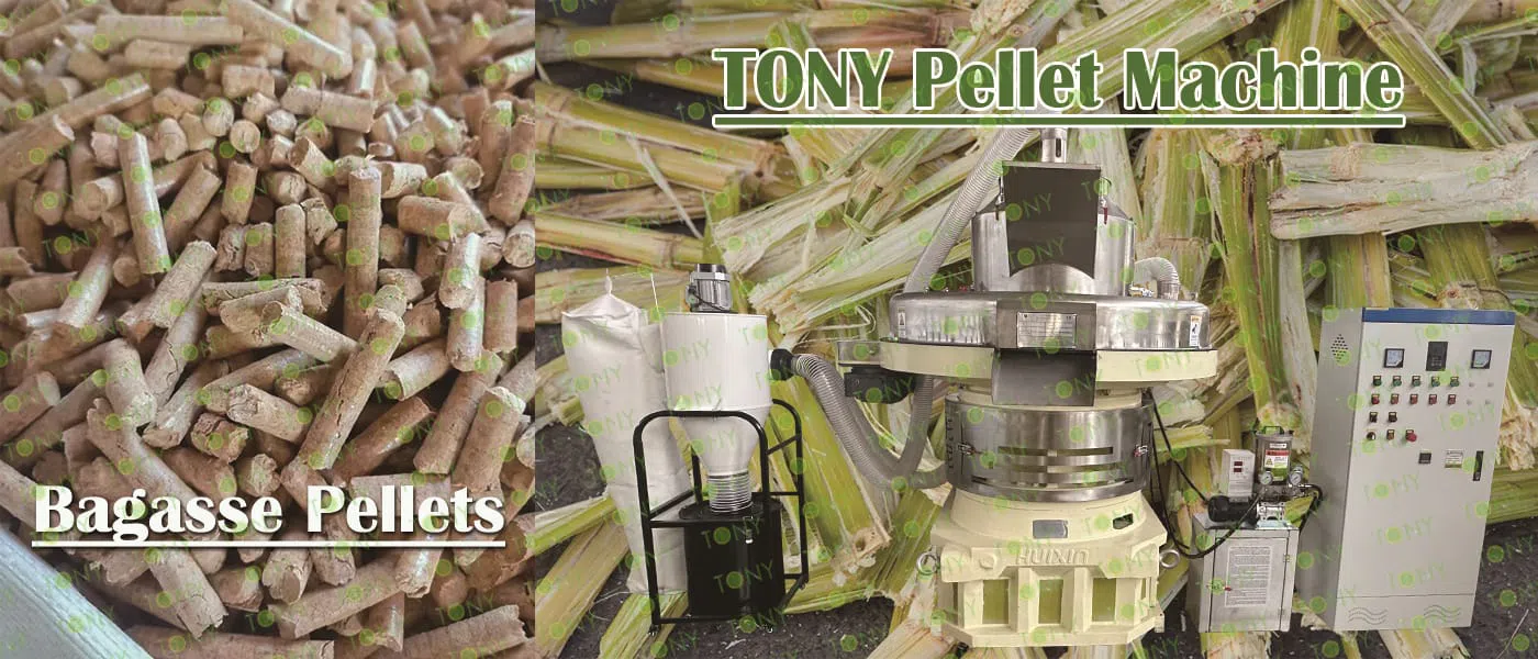 TONY 5-6TPH bagasse-pelletproduktionslinje