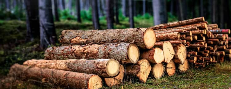 Ағаш пеллеттерін өндіру желісі