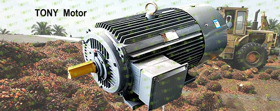 EFB-pelletmaskine